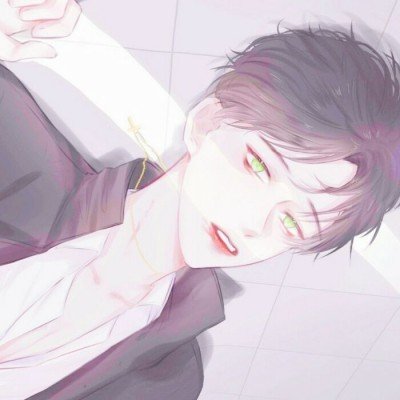肖战在锦州时给流浪猫买了猫窝